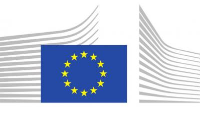 European_Commission_Logo_2_IMAGE.png 